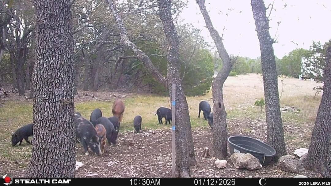 26.59 acres in Edwards County - photo 3