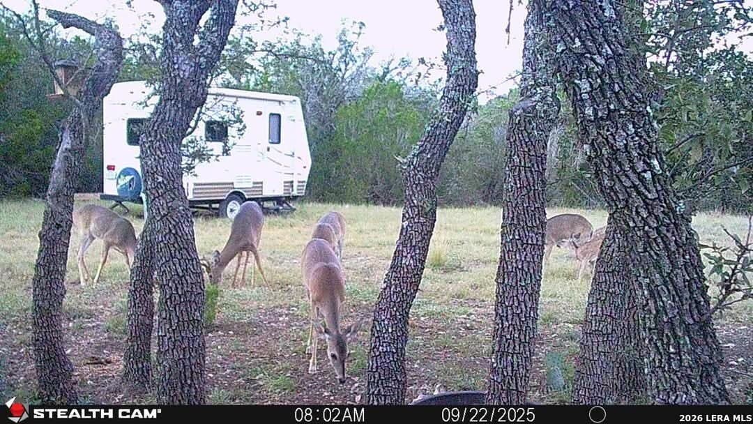 26.59 acres in Edwards County - photo 2