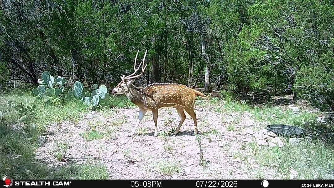 26.59 acres in Edwards County - photo 14