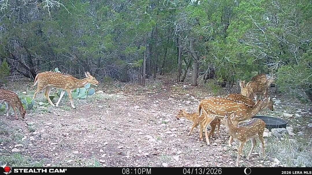 26.59 acres in Edwards County - photo 11