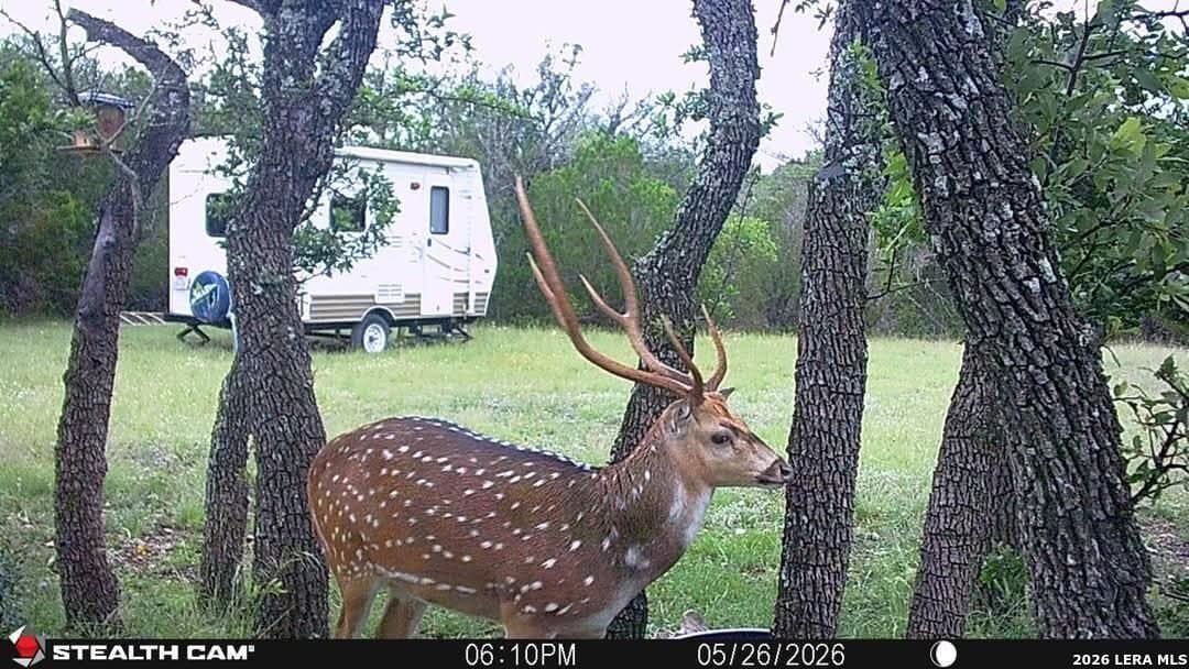 26.59 acres in Edwards County - photo 9