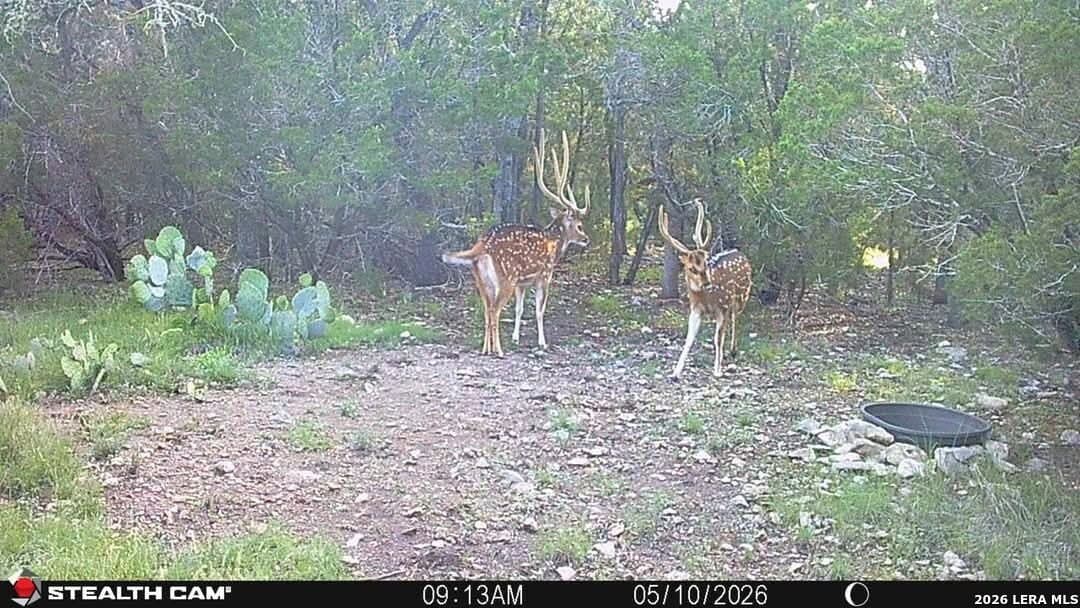 26.59 acres in Edwards County - photo 12