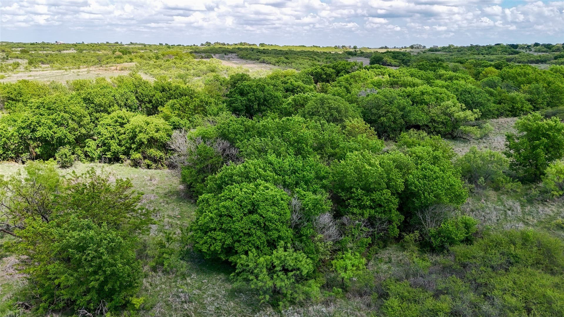 311.16 acres in Montague County - photo 10