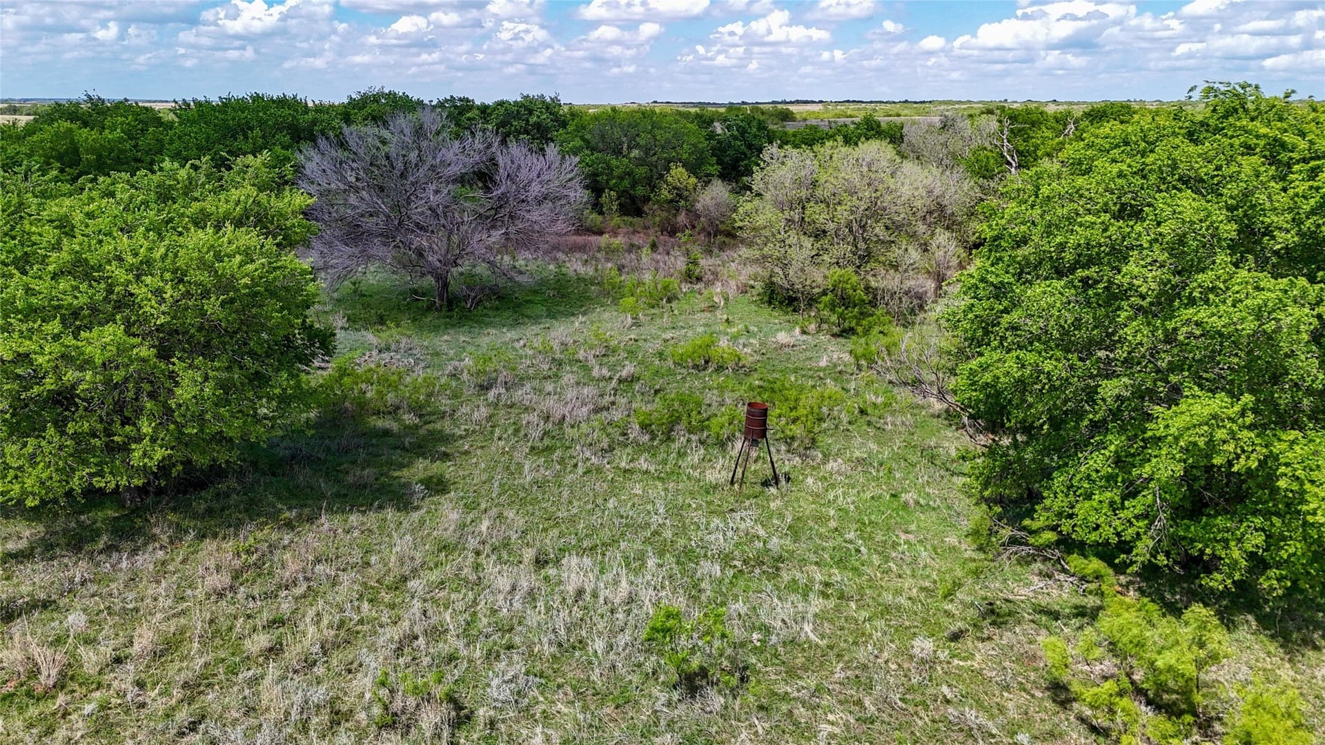 311.16 acres in Montague County gallery image 4