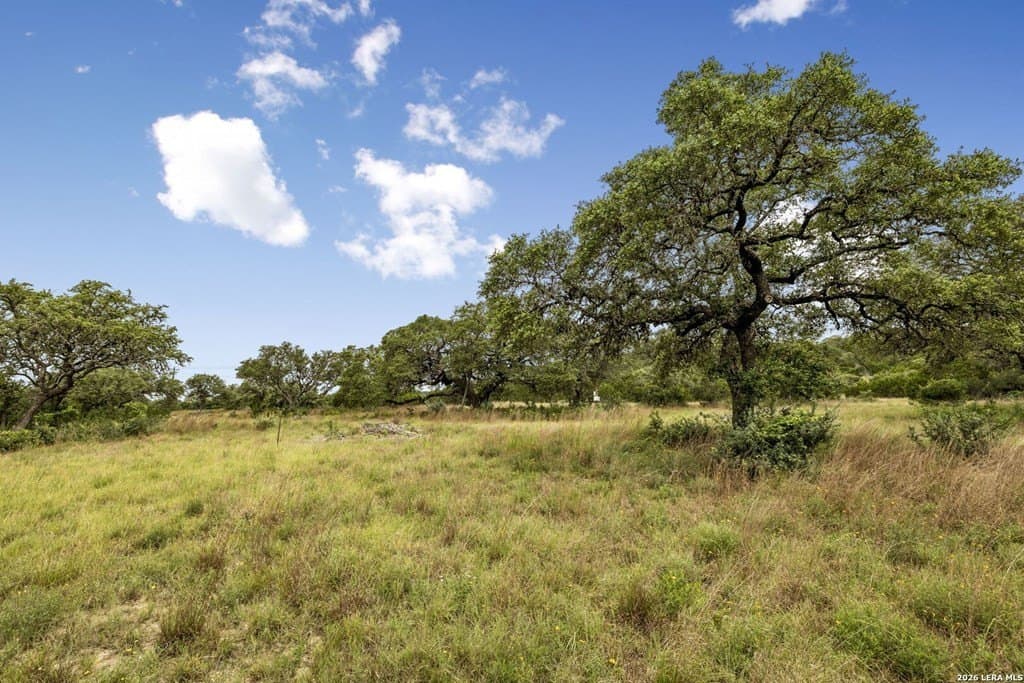 10 acres in Kendall County - photo 11