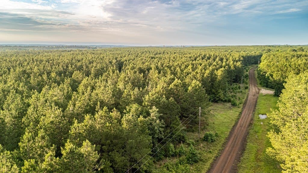 67 acres in Texas County - photo 15