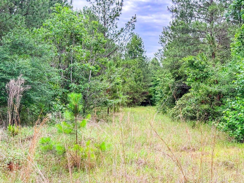 67 acres in Texas County - photo 30