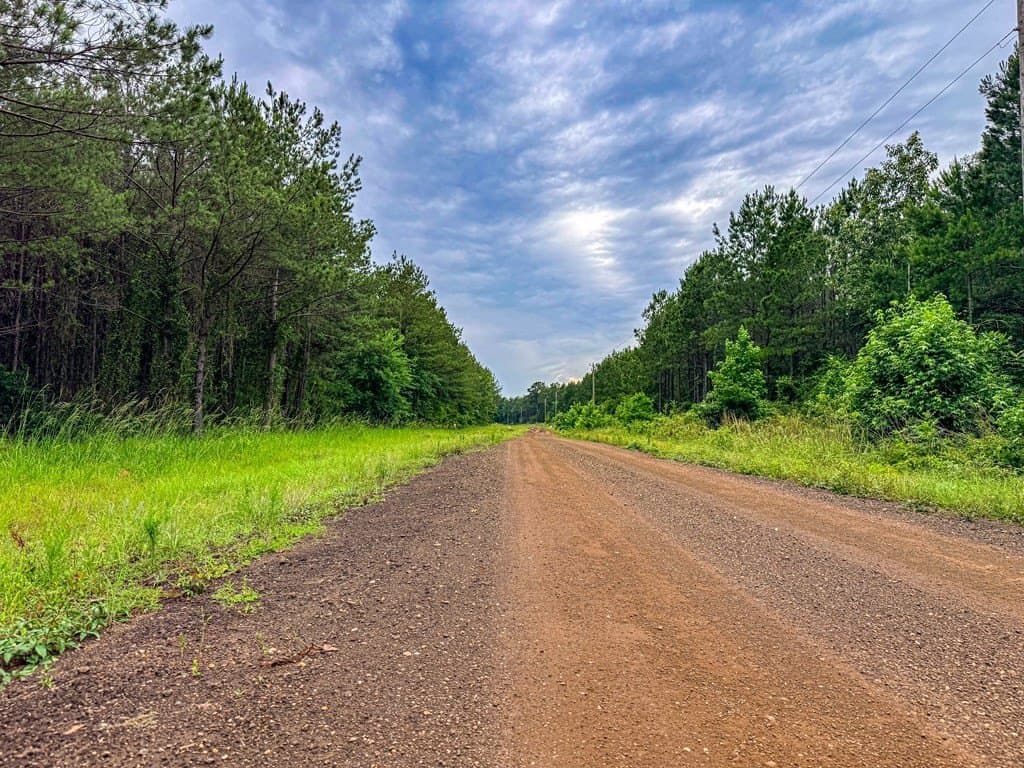 67 acres in Texas County - photo 21