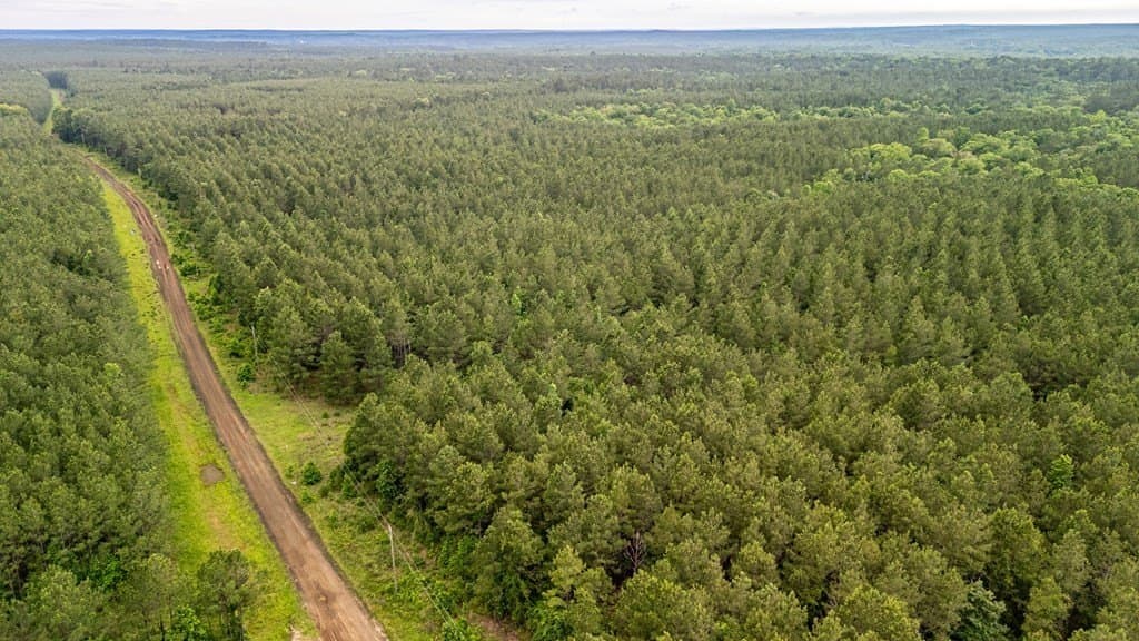 67 acres in Texas County featured view