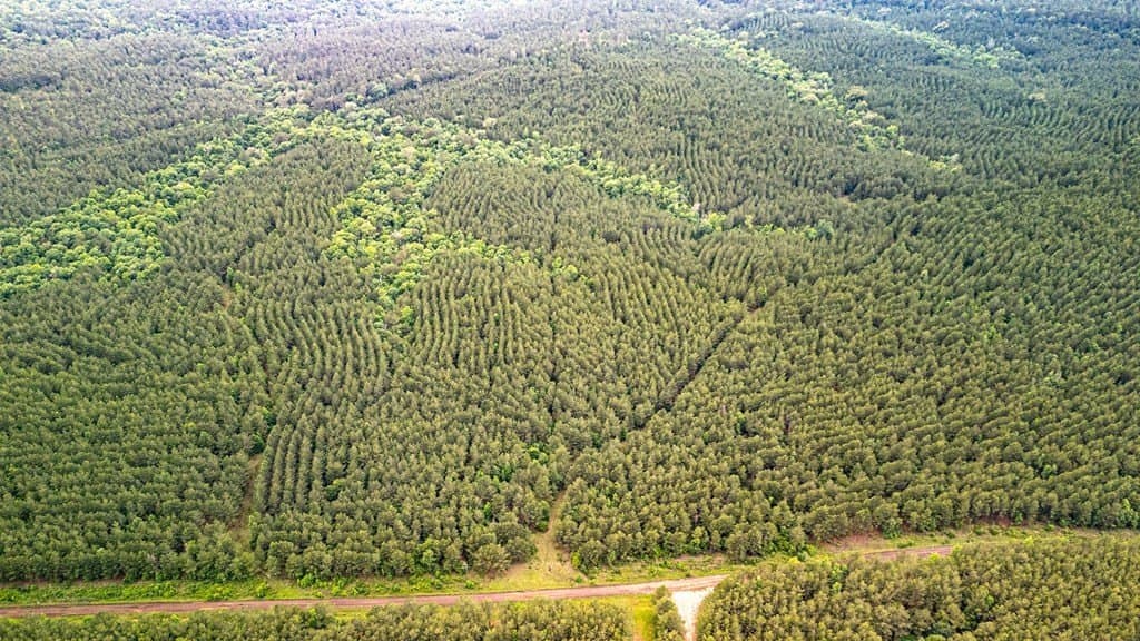 67 acres in Texas County gallery image 2