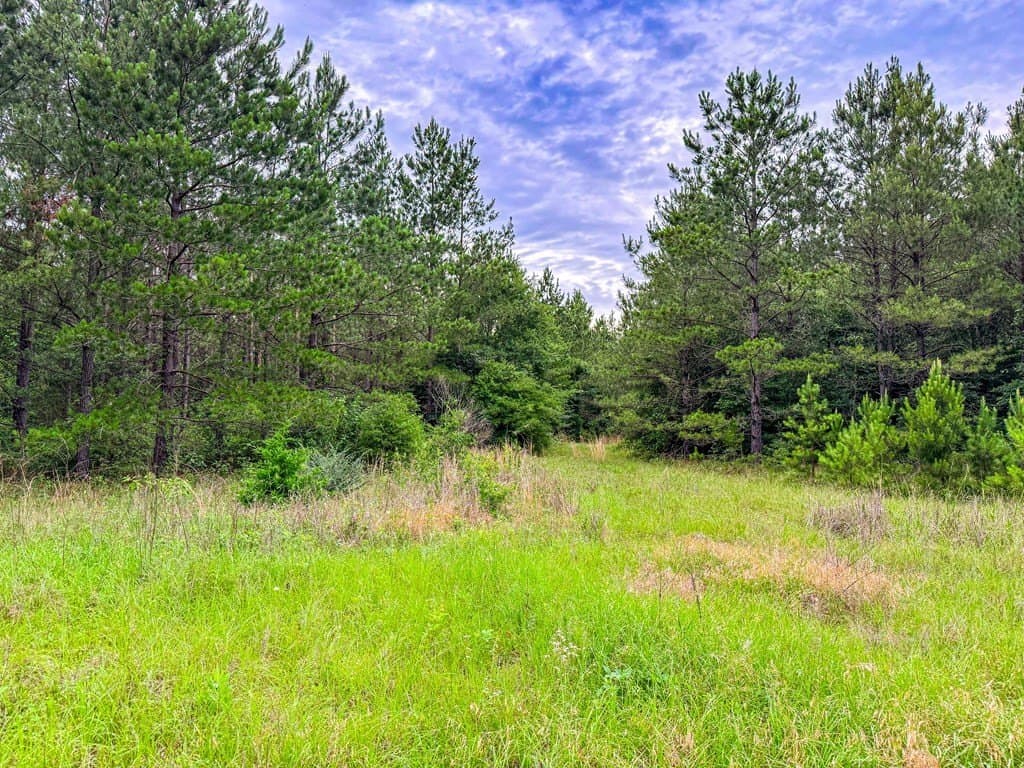 67 acres in Texas County - photo 23