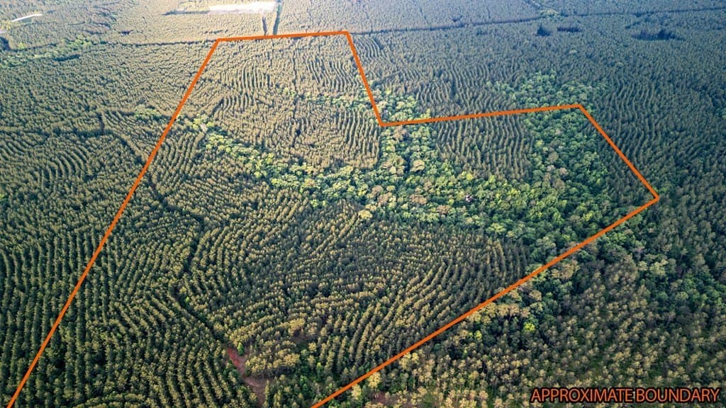 67 acres in Texas County - photo 19