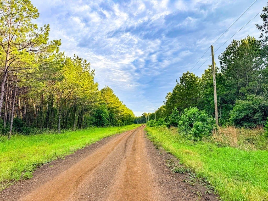 67 acres in Texas County - photo 39