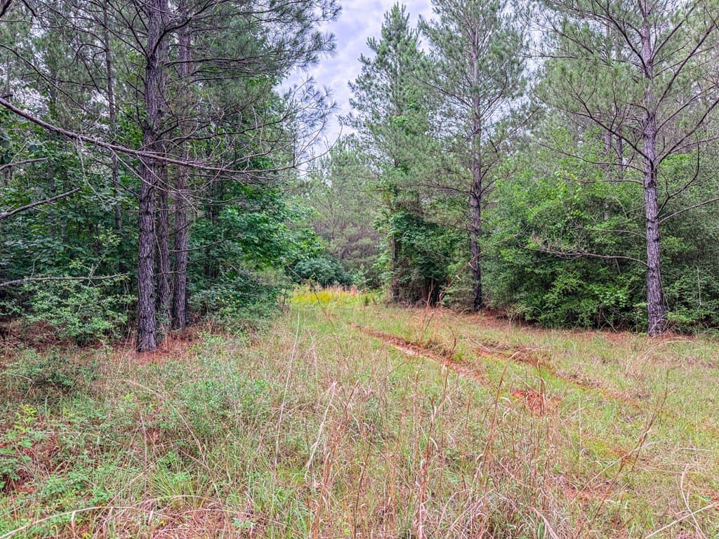 67 acres in Texas County - photo 36