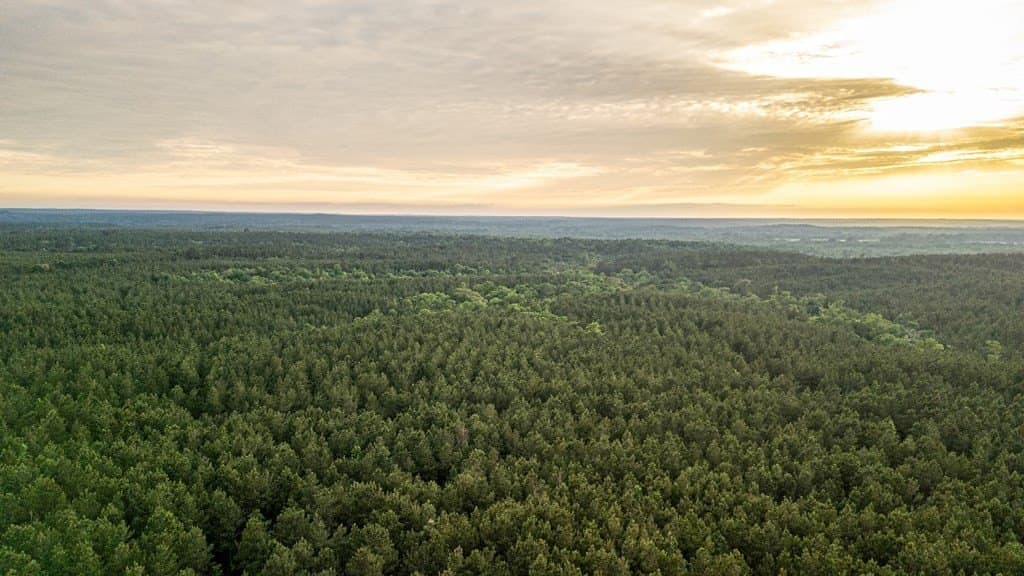 67 acres in Texas County - photo 20