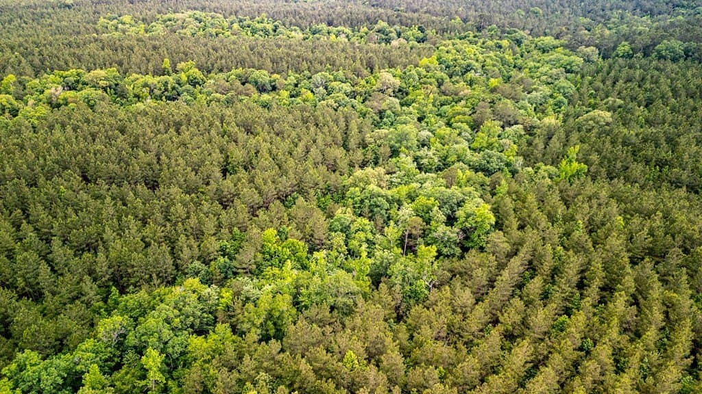 67 acres in Texas County - photo 10