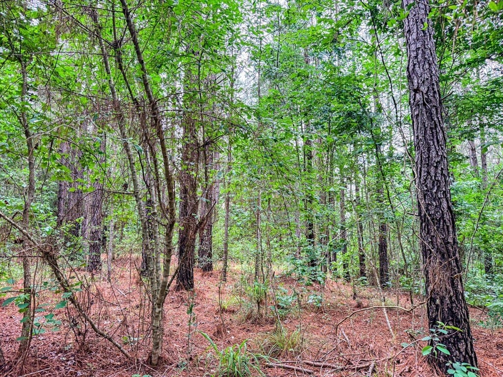 67 acres in Texas County - photo 33