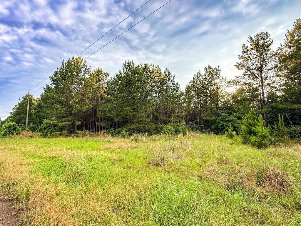 67 acres in Texas County - photo 45