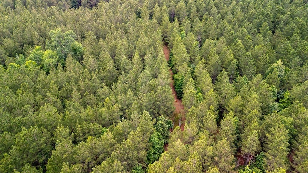 67 acres in Texas County - photo 9