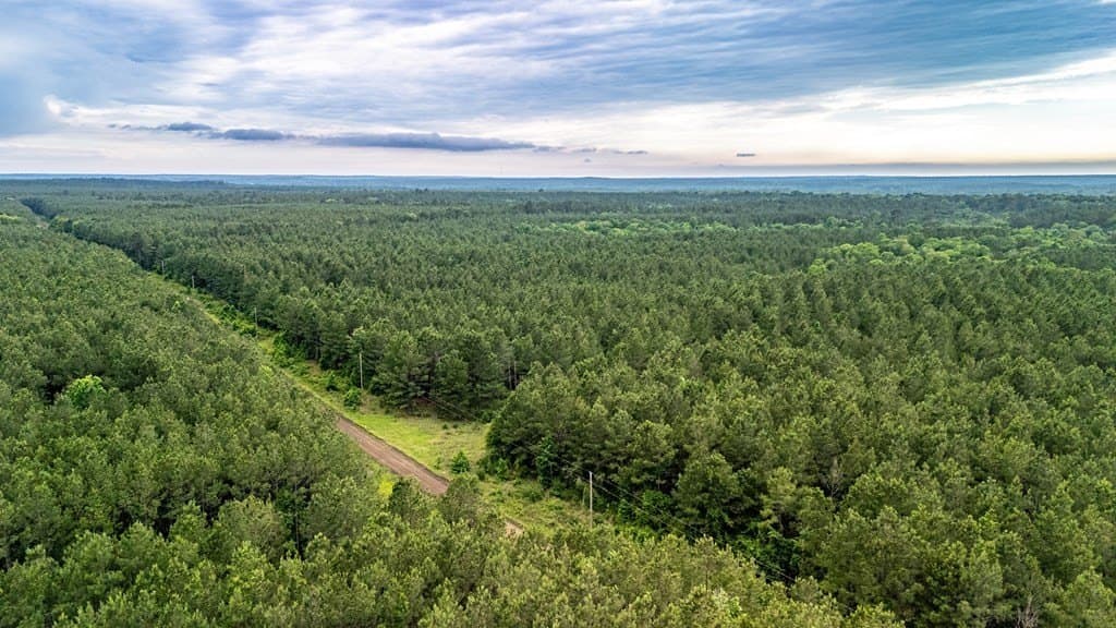 67 acres in Texas County - photo 12