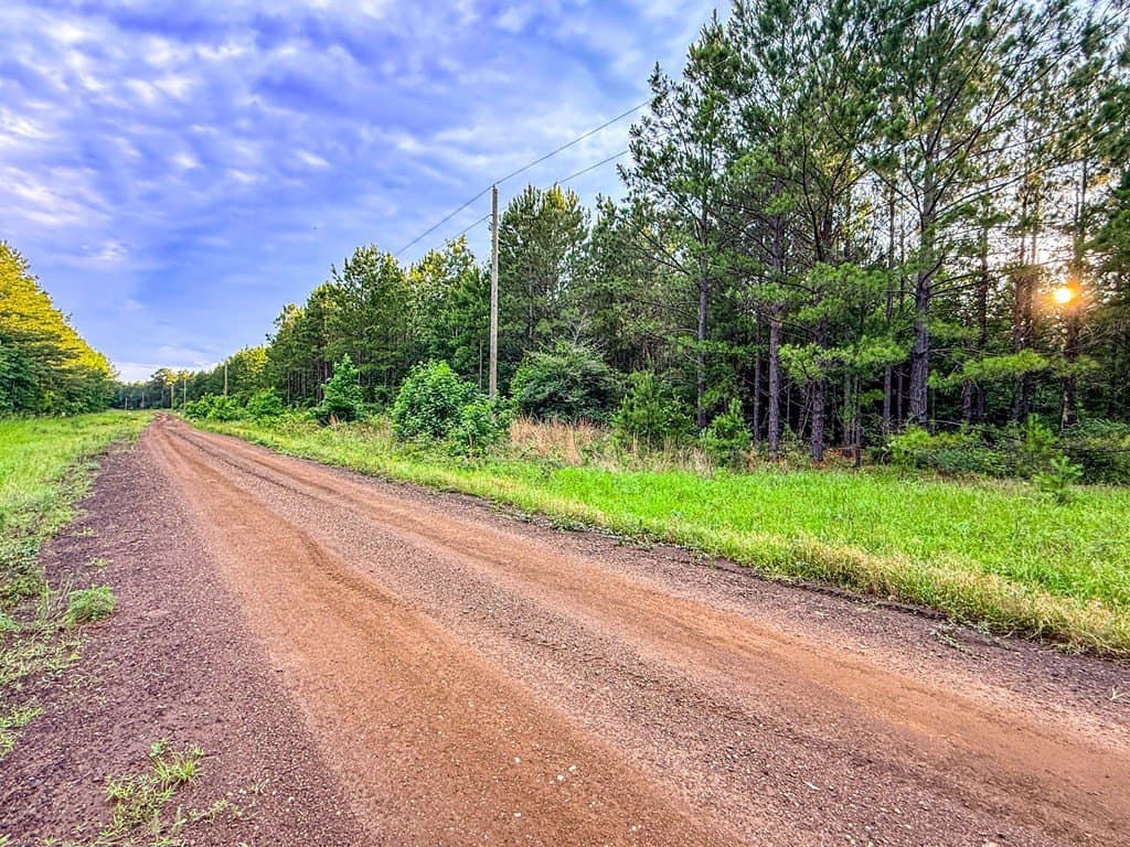 67 acres in Texas County - photo 46