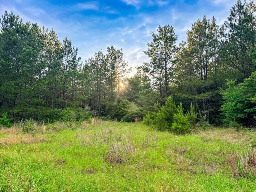 67 acres in Texas County - photo 43