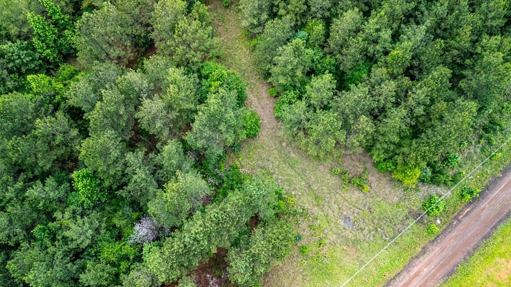 67 acres in Texas County - photo 8