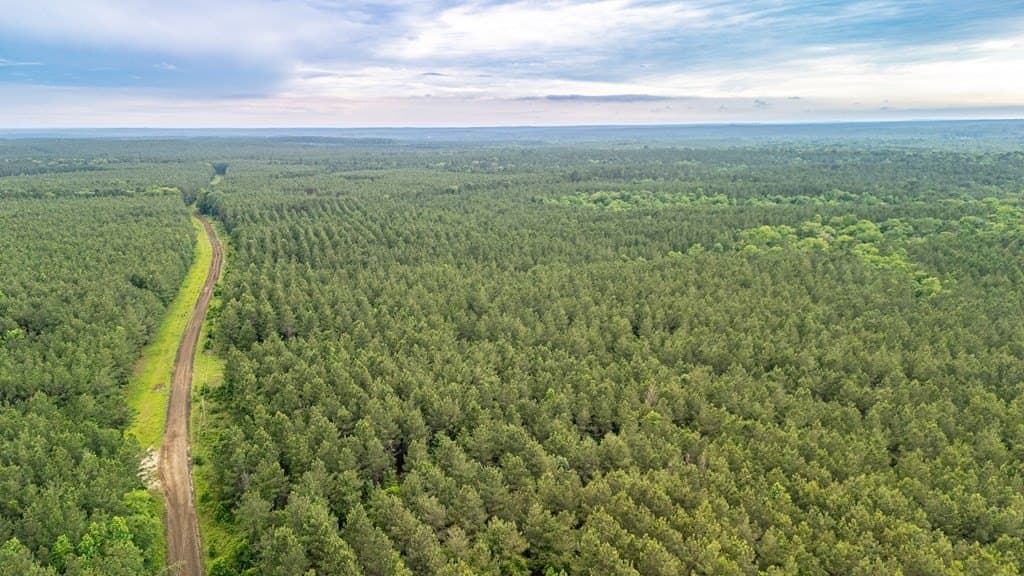 67 acres in Texas County - photo 7