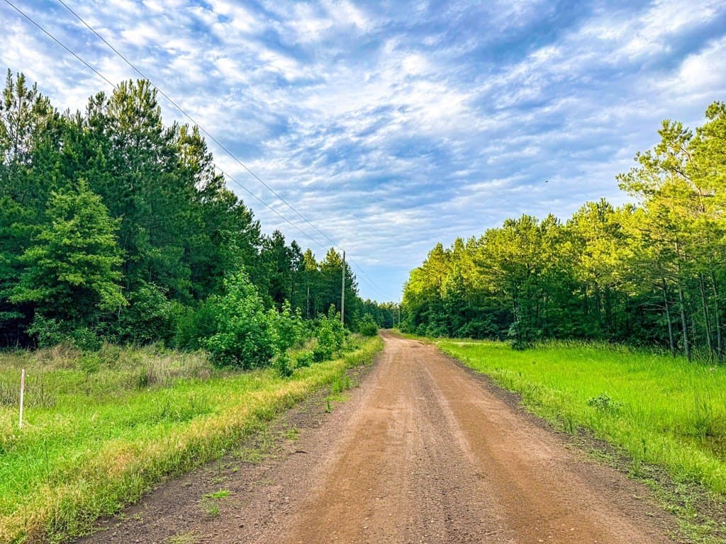 67 acres in Texas County - photo 41