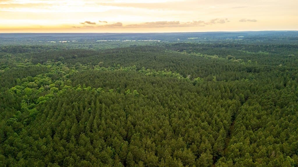 67 acres in Texas County - photo 13
