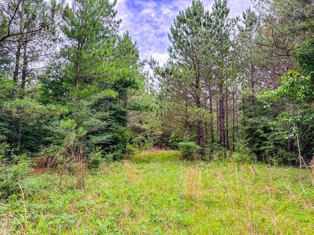 67 acres in Texas County - photo 26