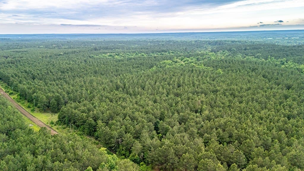 67 acres in Texas County - photo 6