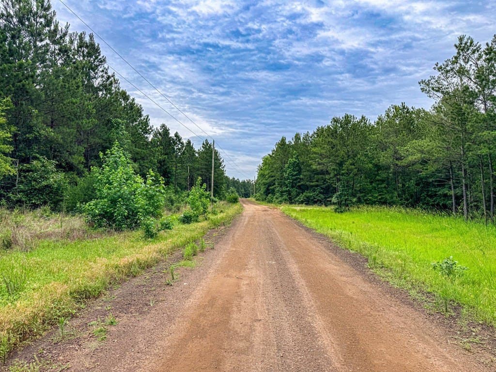 67 acres in Texas County - photo 22