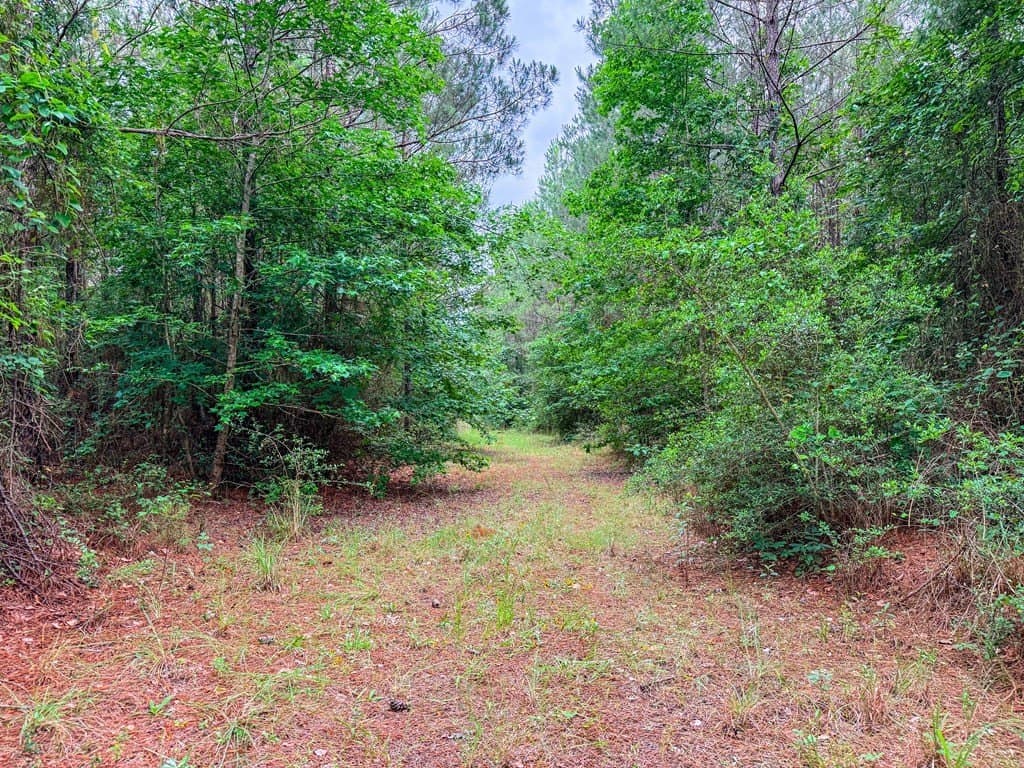 67 acres in Texas County - photo 37
