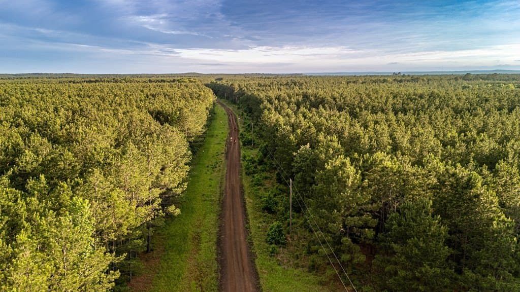 67 acres in Texas County - photo 14