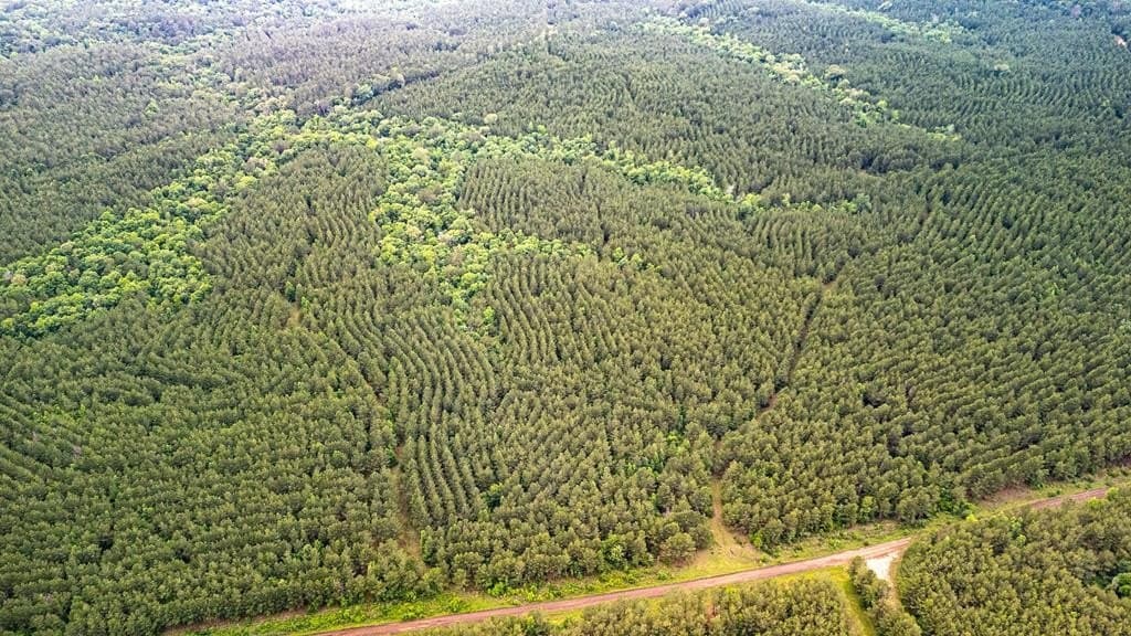 67 acres in Texas County