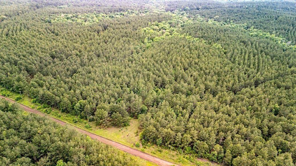 67 acres in Texas County - photo 11