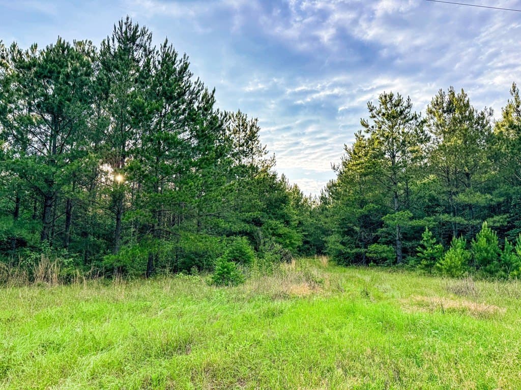 67 acres in Texas County - photo 40