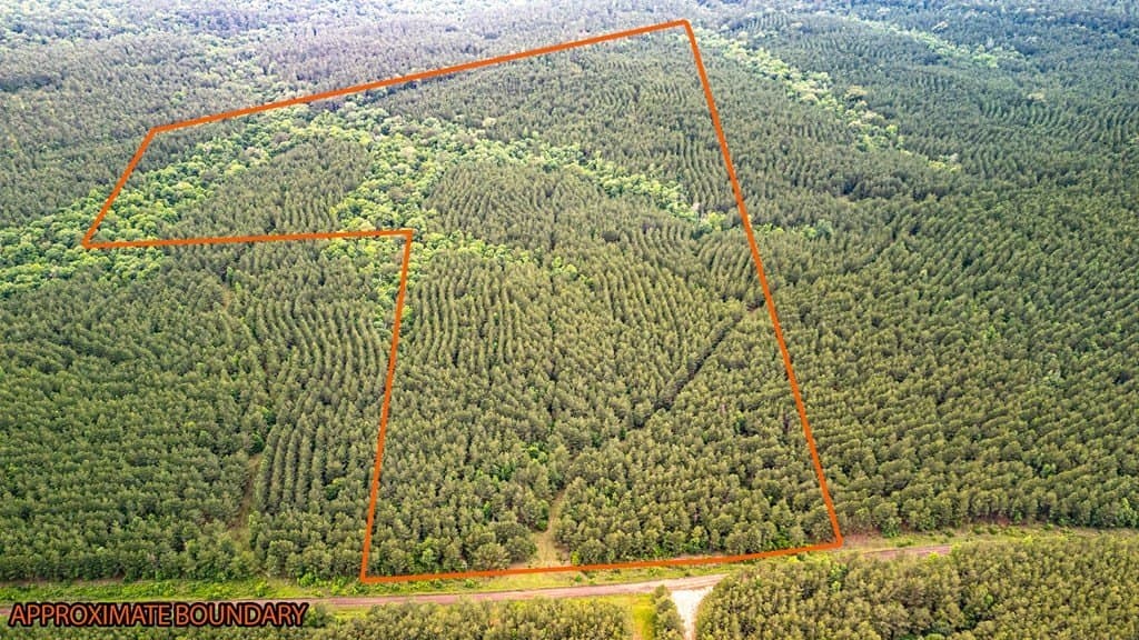 67 acres in Texas County gallery image 3