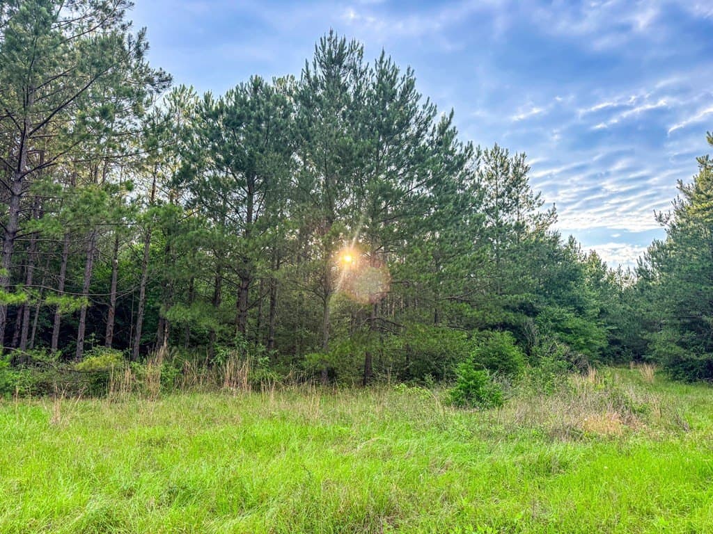 67 acres in Texas County - photo 42