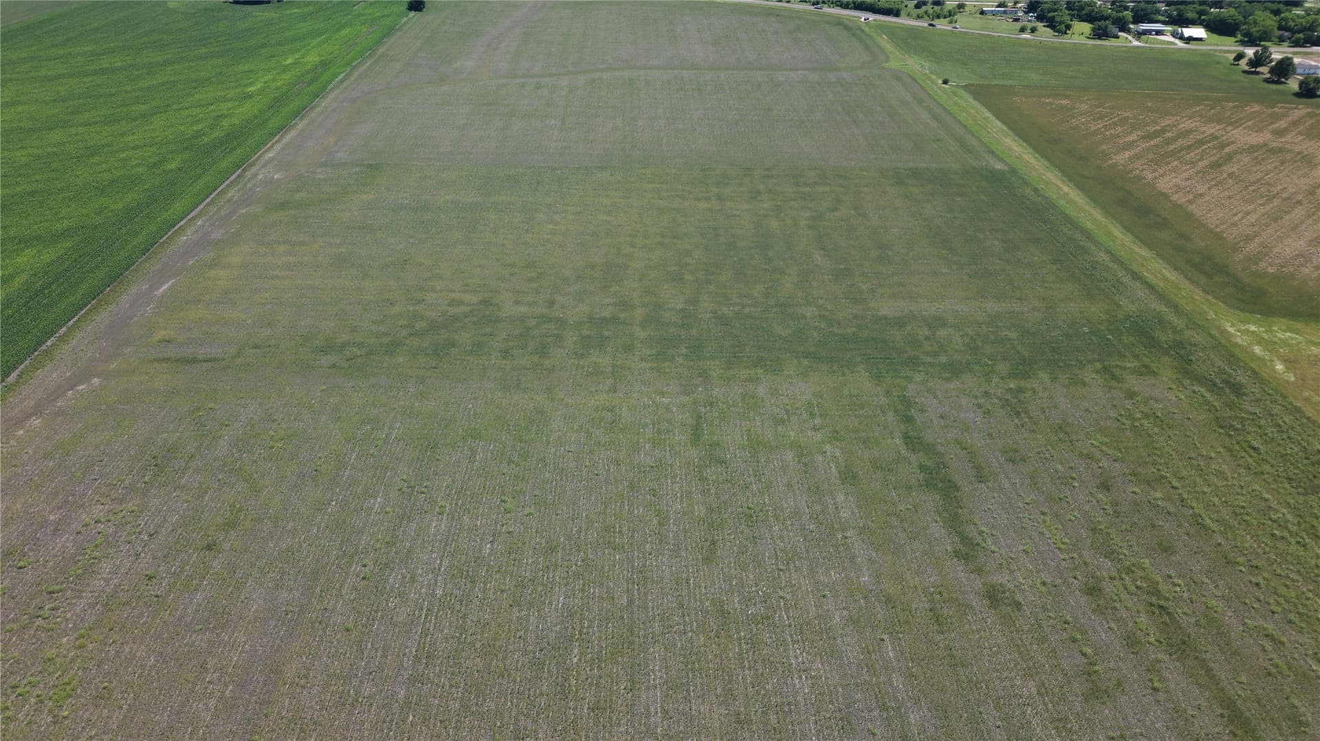 160.15 acres in Ellis County gallery image 4