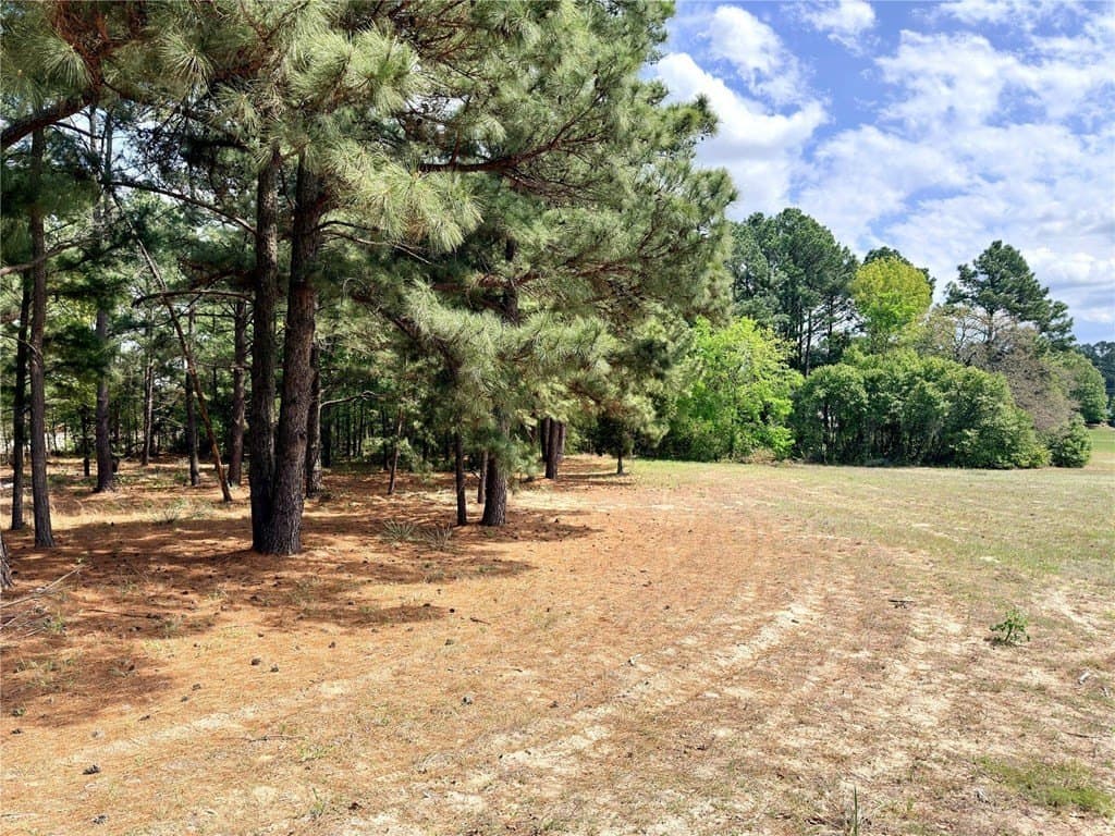 2.04 acres in Henderson County gallery image 3