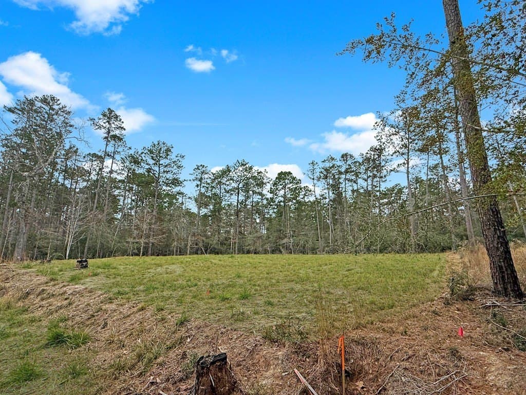 0.46 acres in Texas County gallery image 4