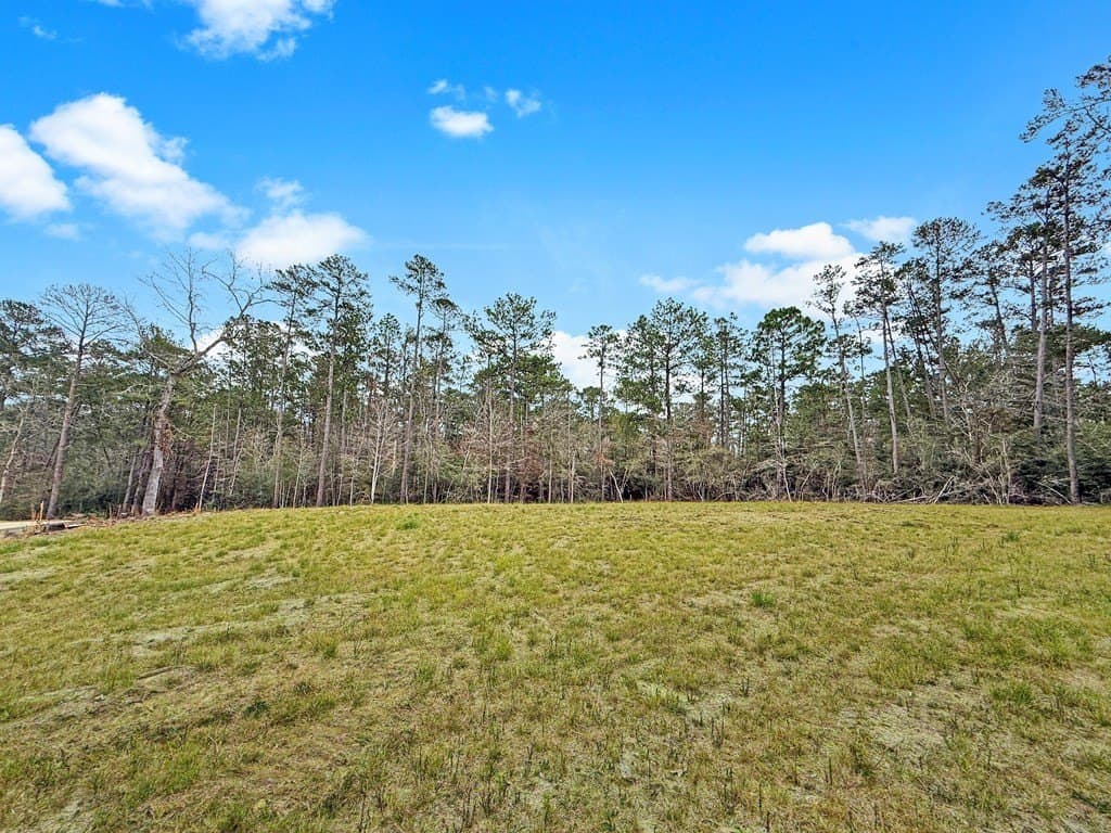 0.46 acres in Texas County gallery image 3