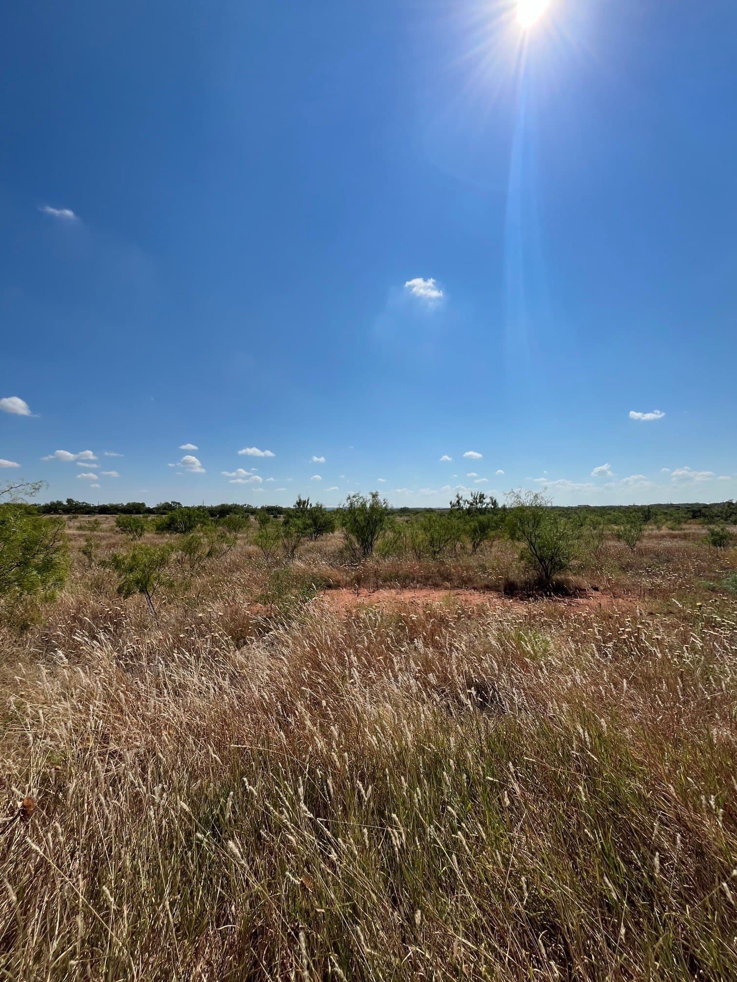 21 acres in Taylor County - photo 38