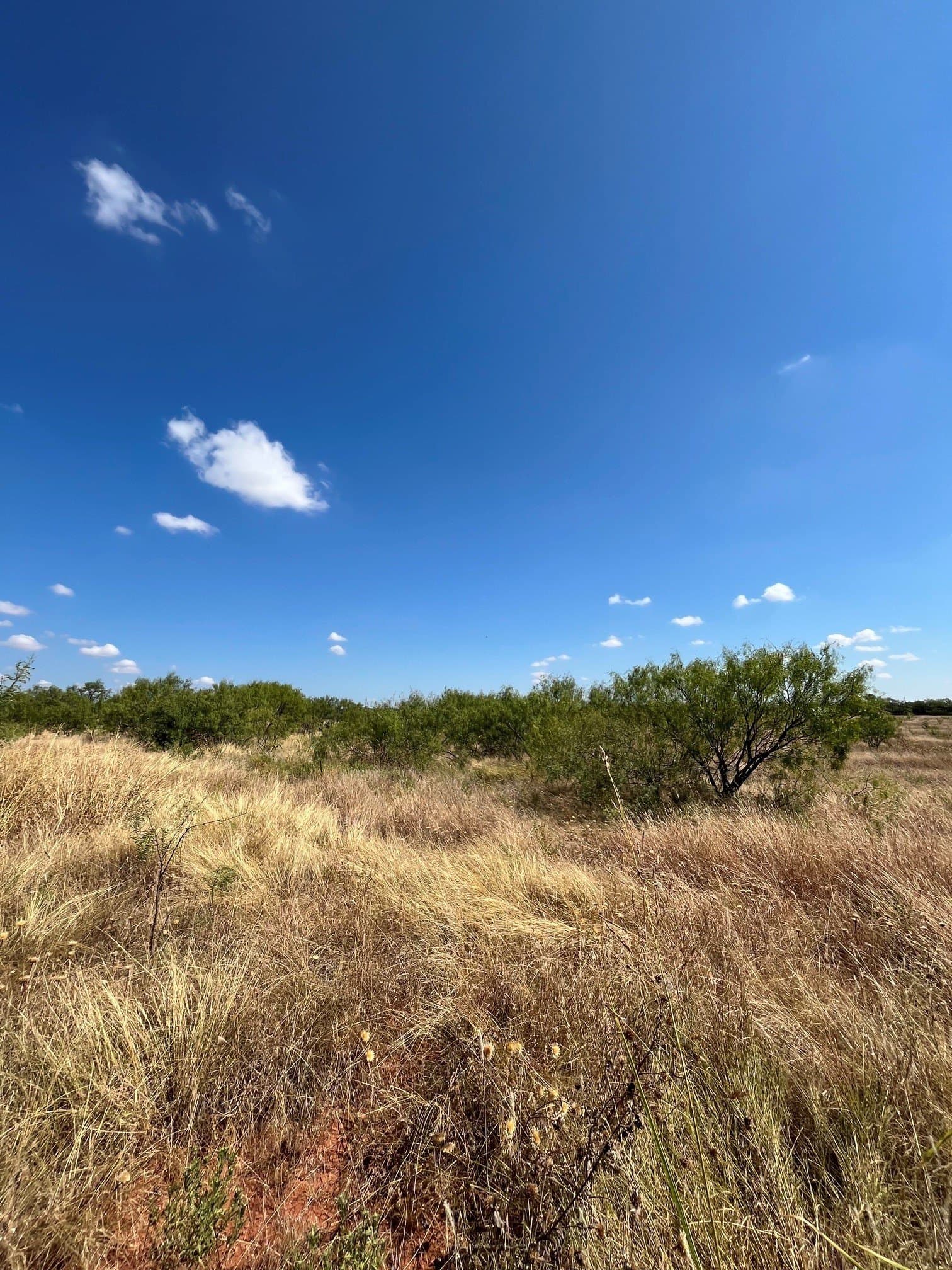 21 acres in Taylor County - photo 37