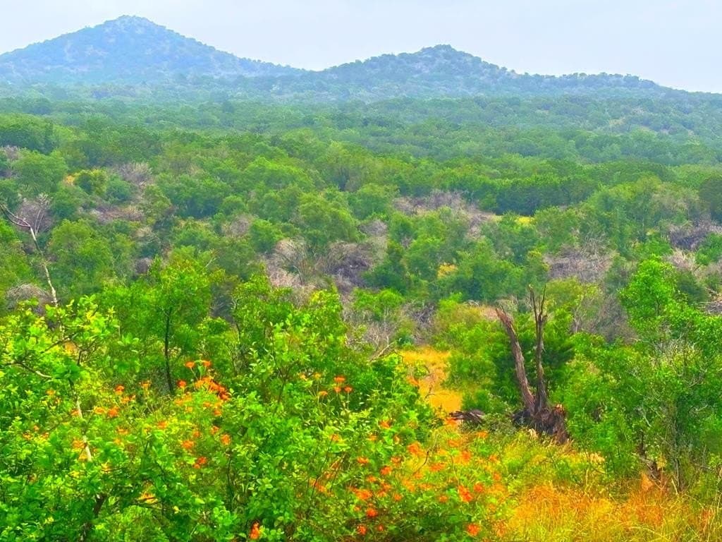 214.23 acres in Edwards County - photo 13