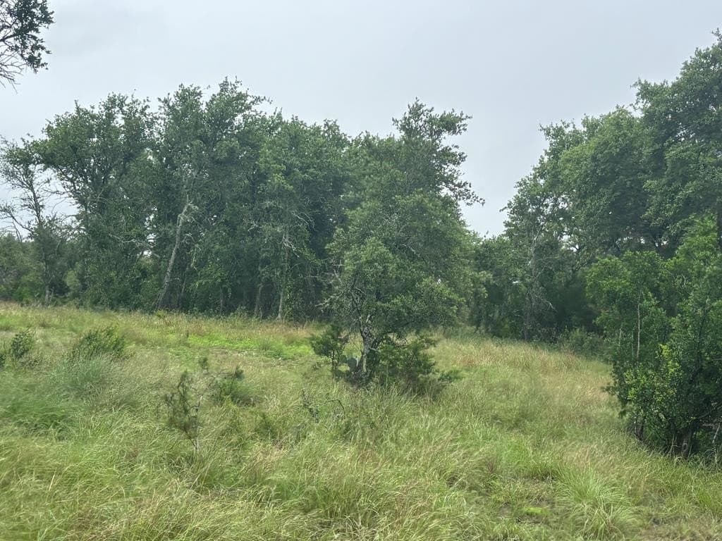 214.23 acres in Edwards County - photo 24