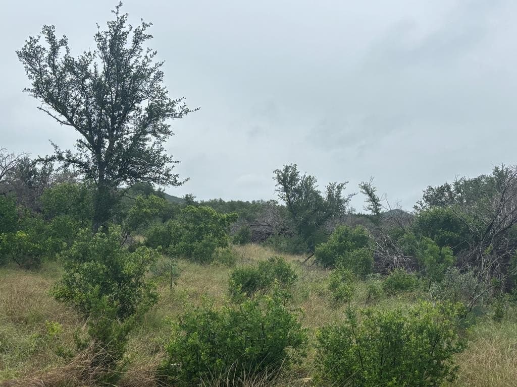 214.23 acres in Edwards County - photo 27