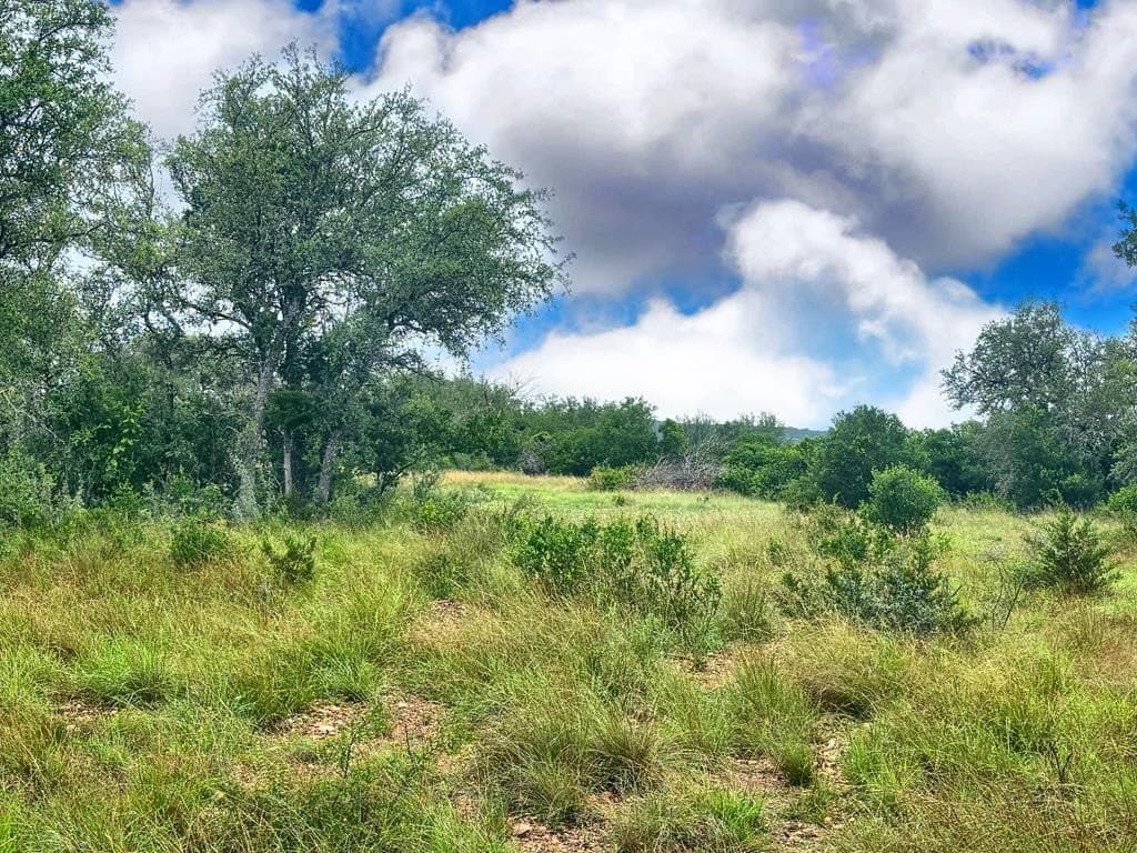 214.23 acres in Edwards County - photo 19